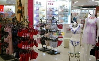 服裝加盟特許經營模式 在零售領域的全面解讀與操作指南